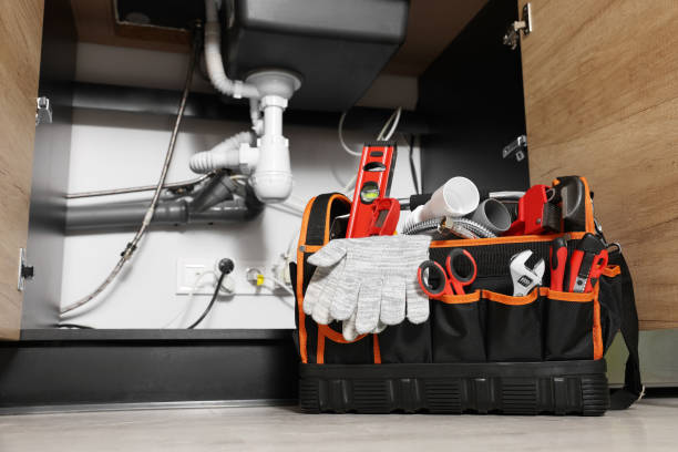 Best Plumbing Services Near Me  in Mallory, WV